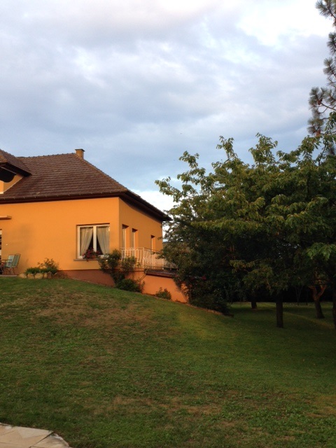 La Volerie des aigles à Kintzheim, enfin ouverte !