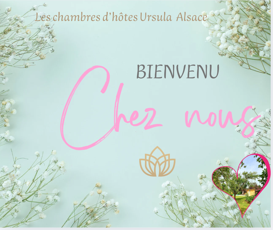 Séjour Alsace – réservez vos chambres d’hôtes confort