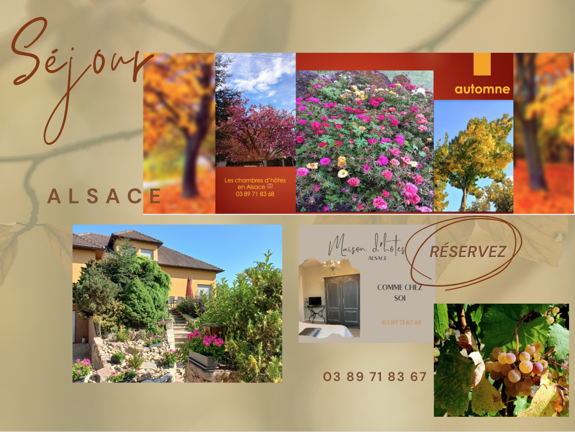 Séjour d’automne en Alsace : couleurs et saveurs